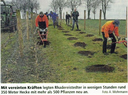Bürger legen 350 Meter Hecke an -15.03.2017