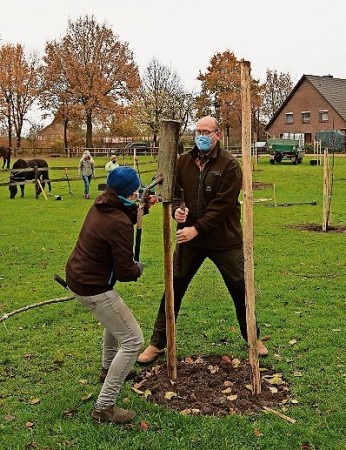 Rhader legen ihre Streuobstwiese an, Zevener Zeitung vom 26.11.2020